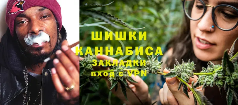 Каннабис марихуана  Кущёвская 